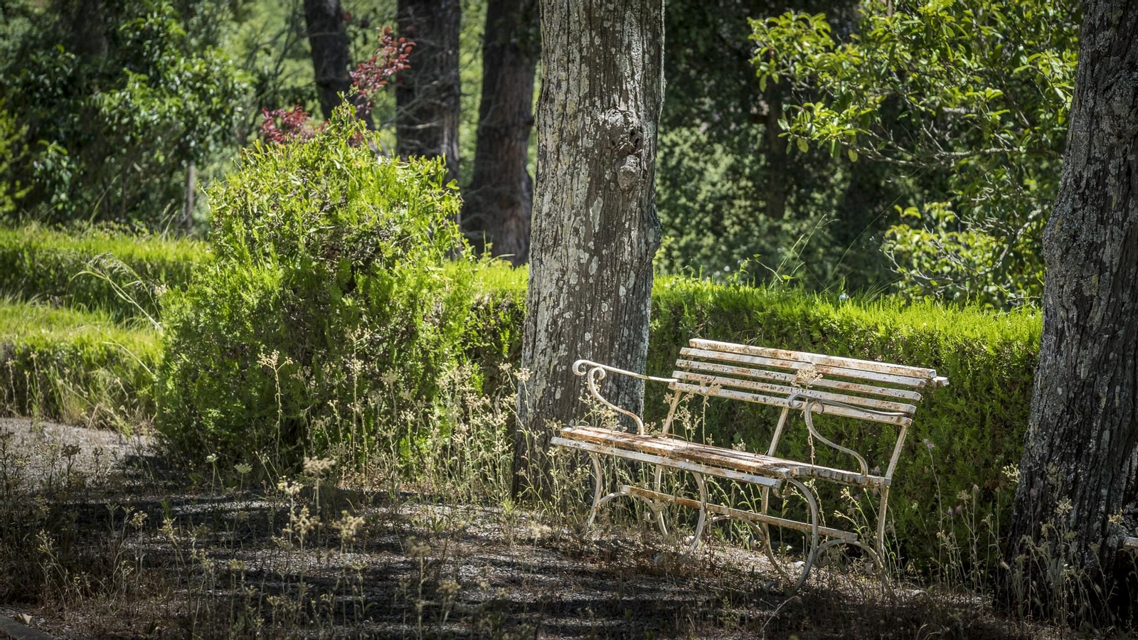 Poblado del pantano de Los Hurones