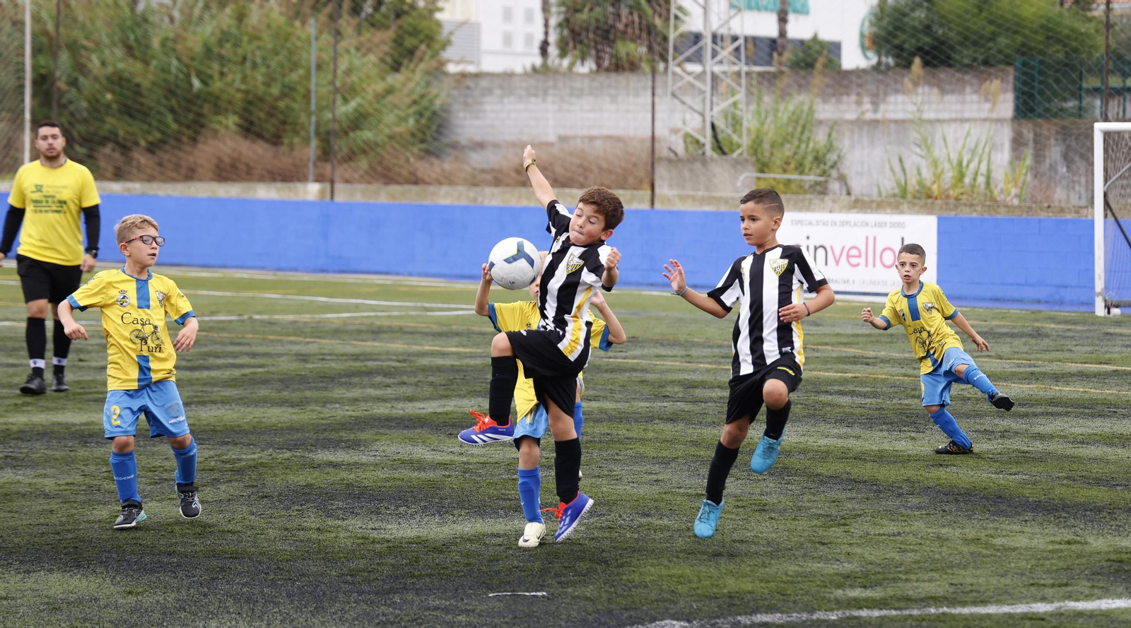 Las fotos del Torneo Ciudad de La Línea de bebés y prebenjamines