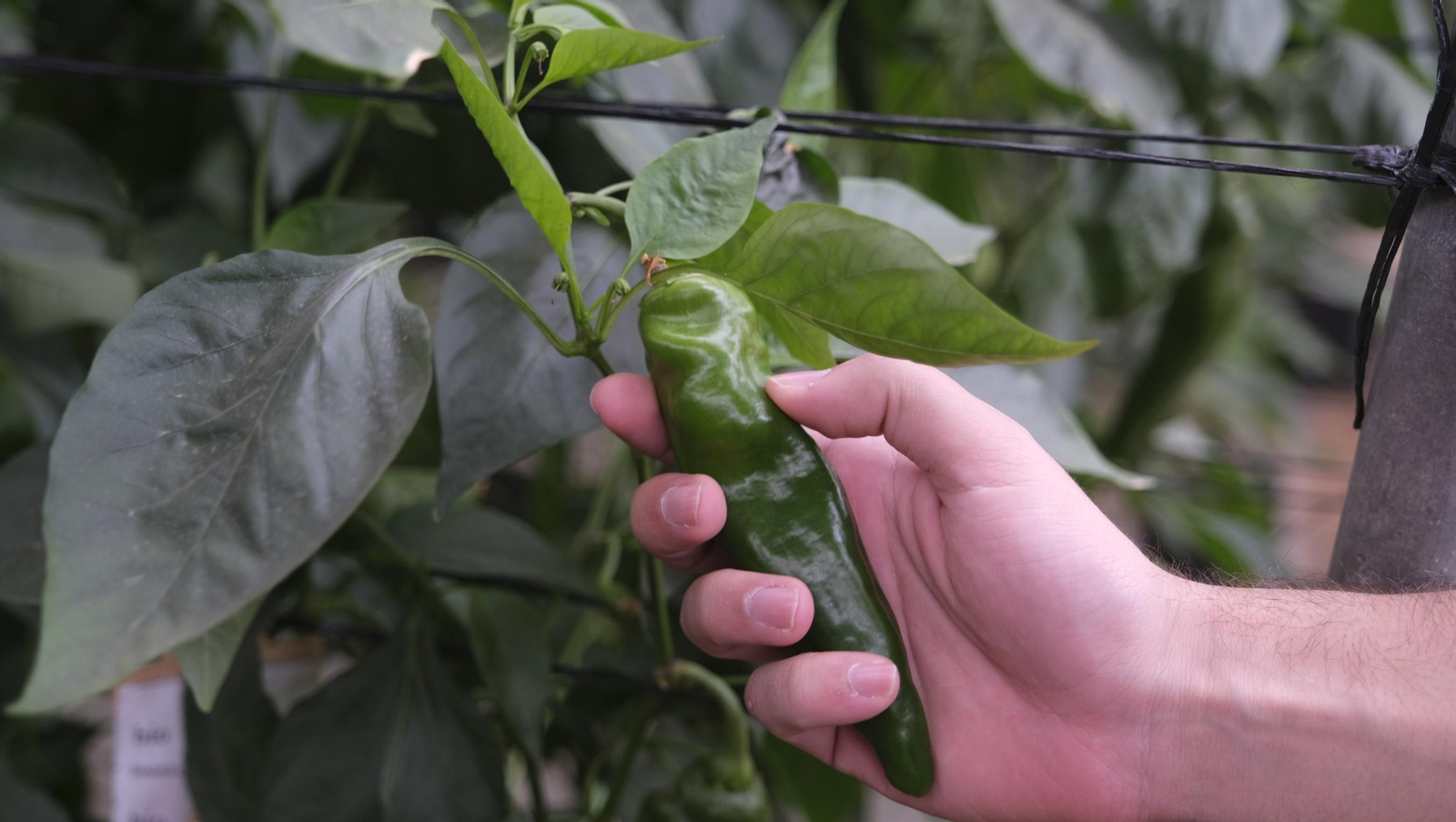 Imágenes del Foro Datagri en Las Palmerillas Cajamar