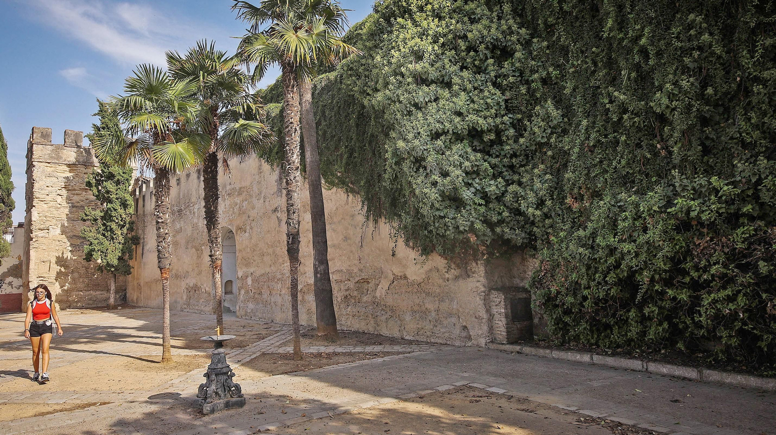 Así está la muralla en calle Muro