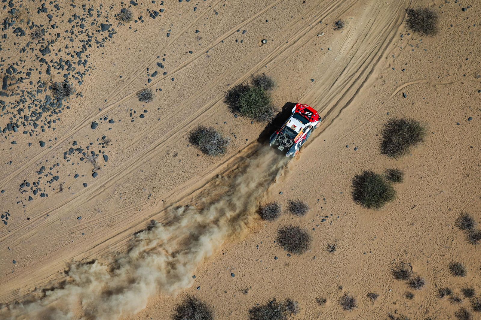 Las mejores fotos del Rally Dakar | undécima etapa
