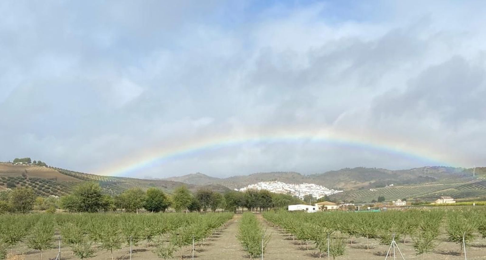Una panorámica de Torre Alháquime