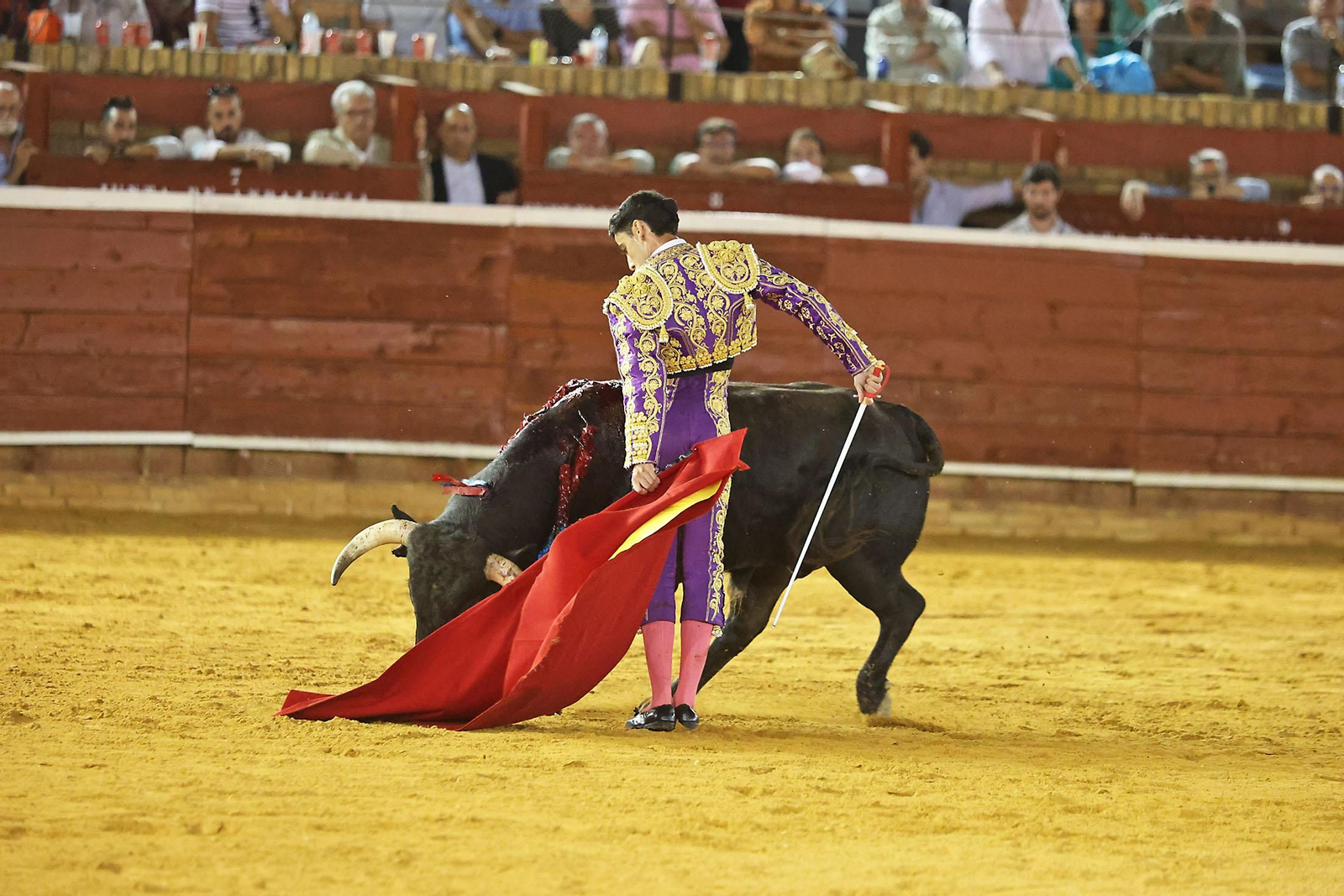 Toros La Merced 2024 Novillada con picadores(