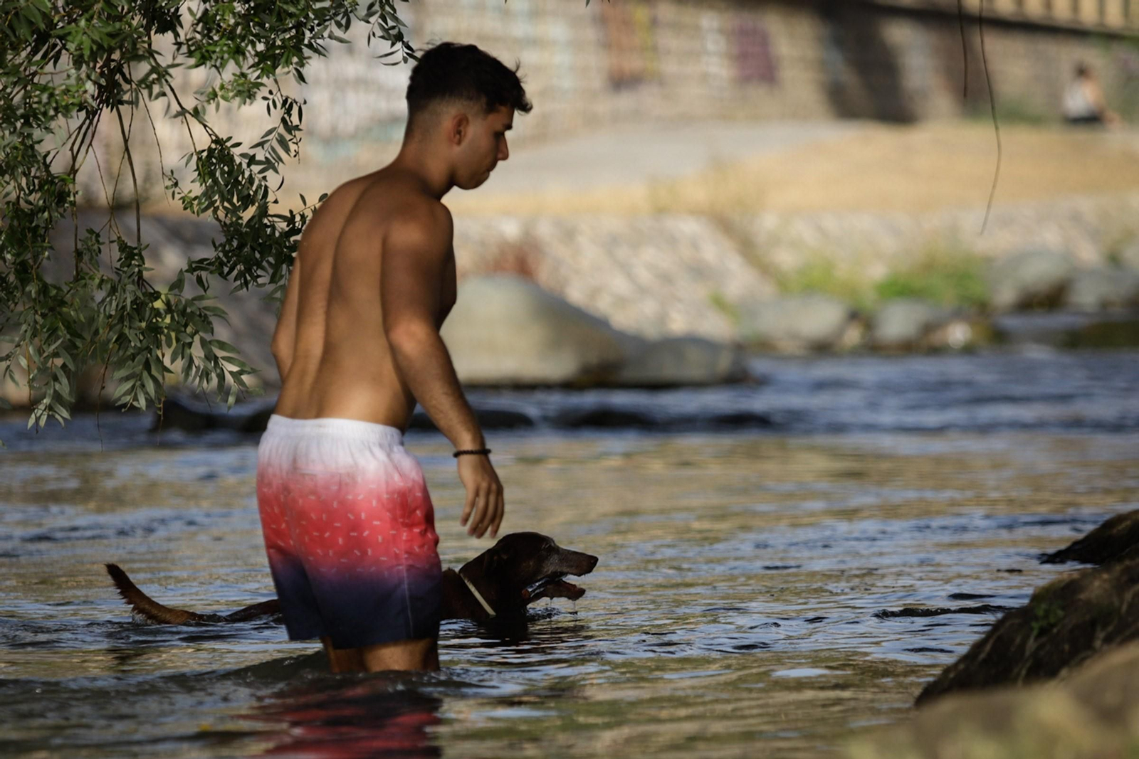 Las mejores imágenes del baño prohibido en Granada: el río Genil como refugio contra el calor