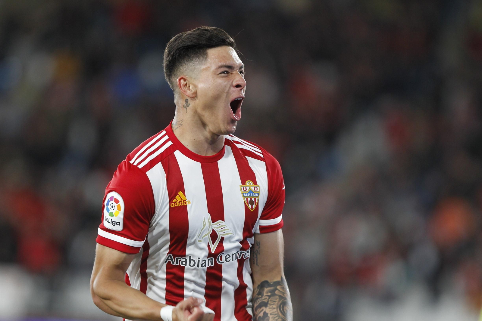 Fotogalería del Almería-Deportivo