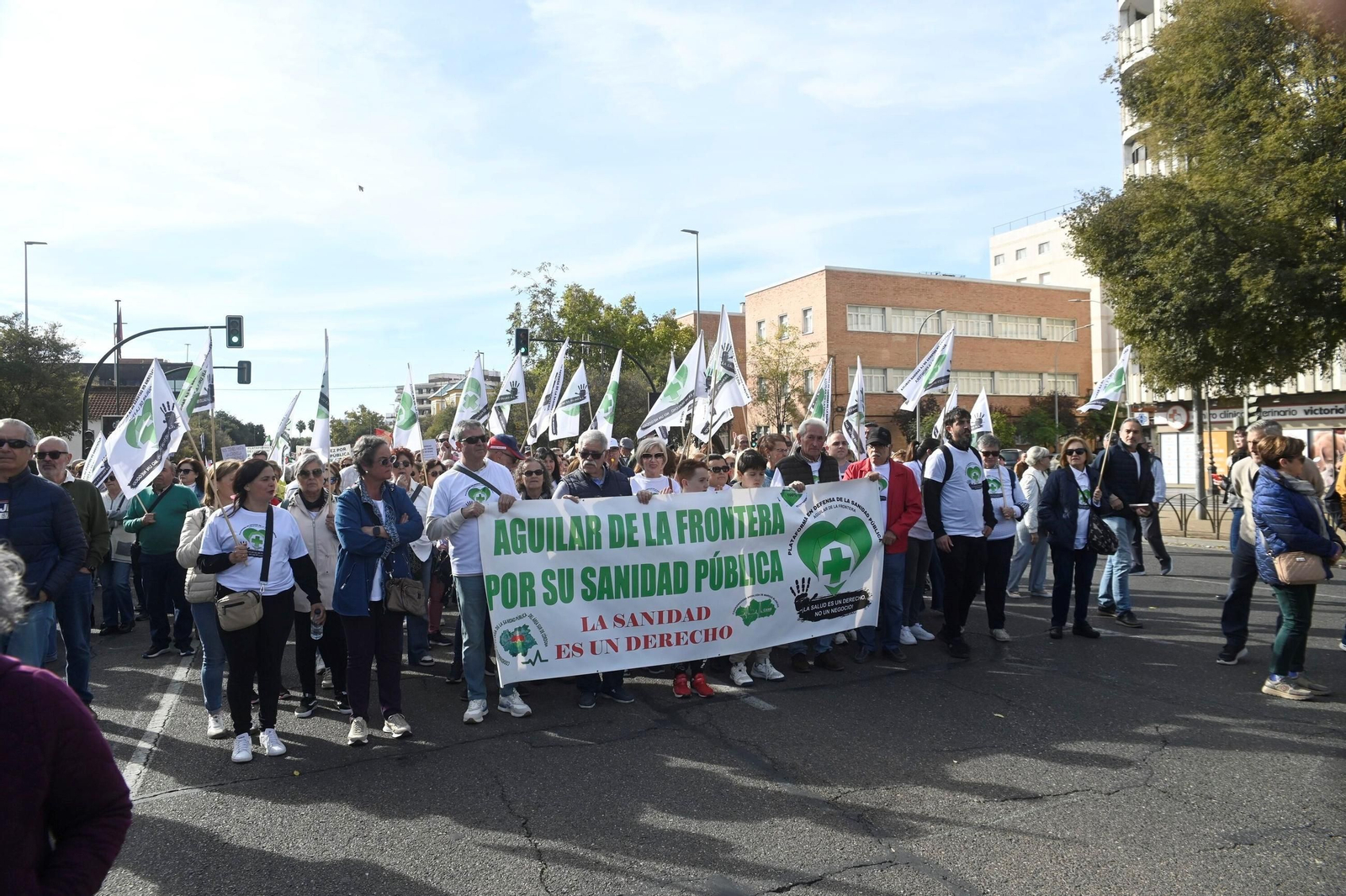 La manifestación en defensa de la sanidad pública en Córdoba