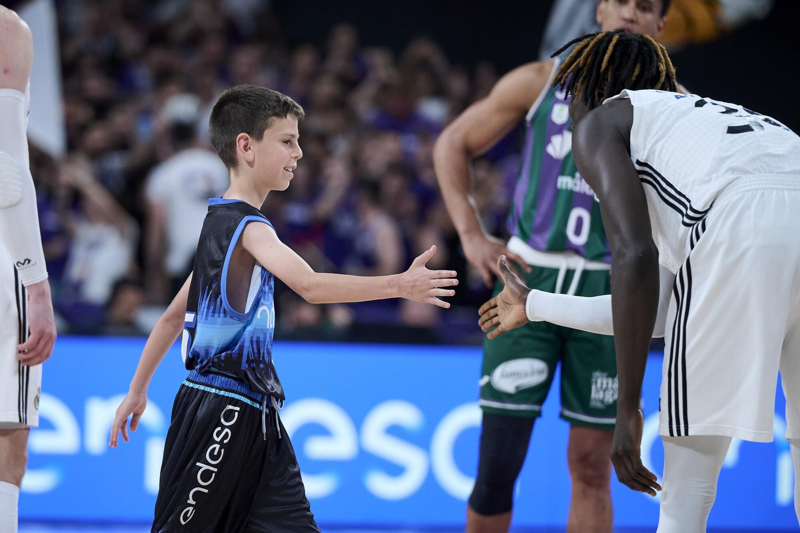 El Real Madrid-Unicaja en fotos