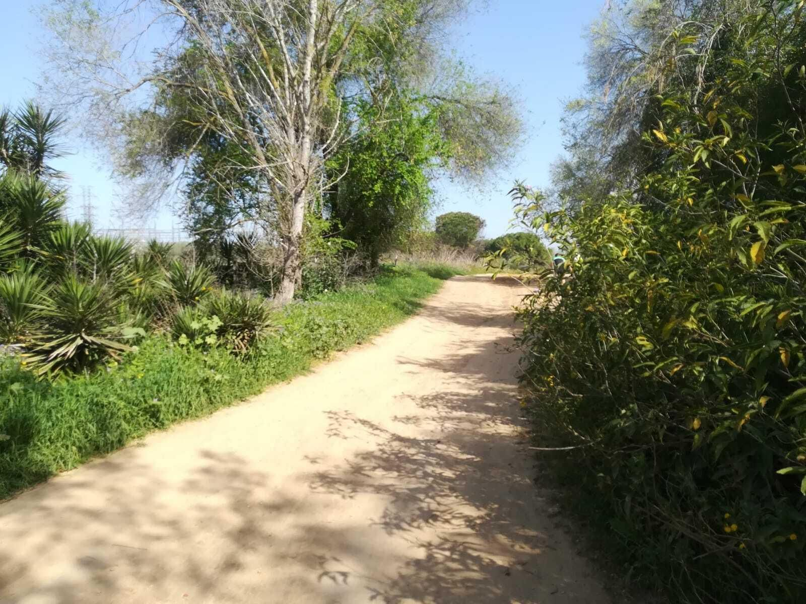 La ruta del Río Pudio por Espartinas, en imágenes