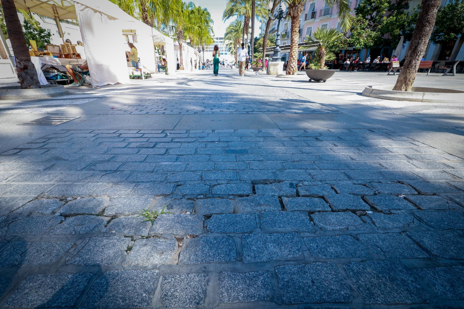 Así están las principales plazas de la ciudad de Cádiz