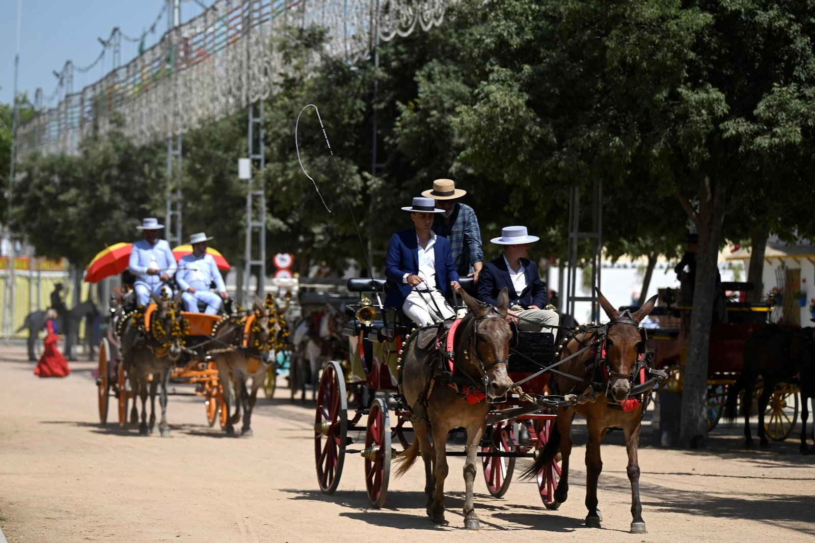 El Día del Caballo en la Feria de Córdoba