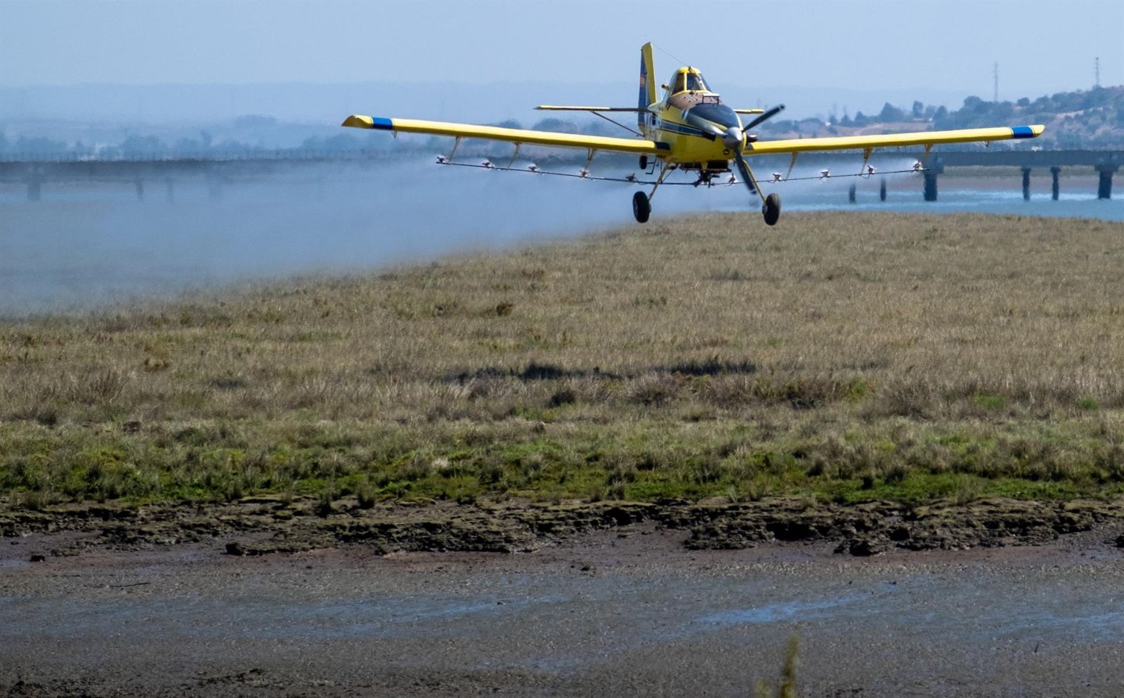 Un avión del Servicio de Control de Plagas realiza un tratamiento en el término municipal de Huelva.
