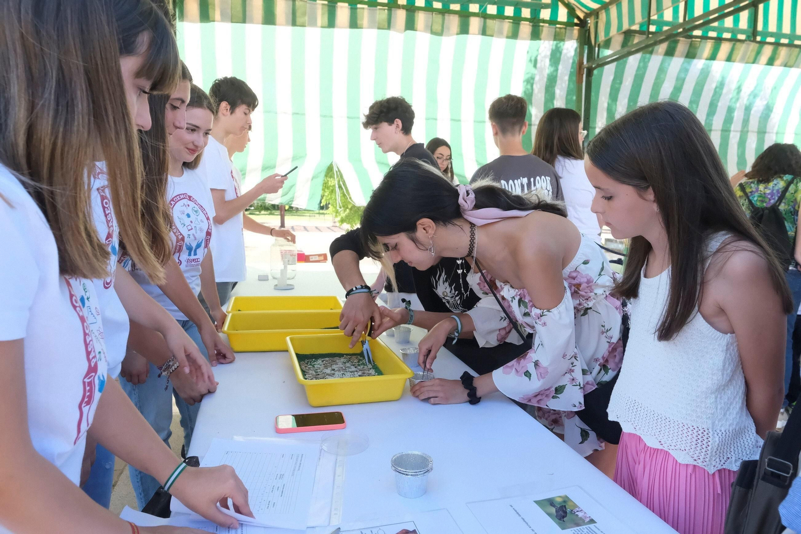 El Paseo por la Ciencia de Córdoba, en imágenes
