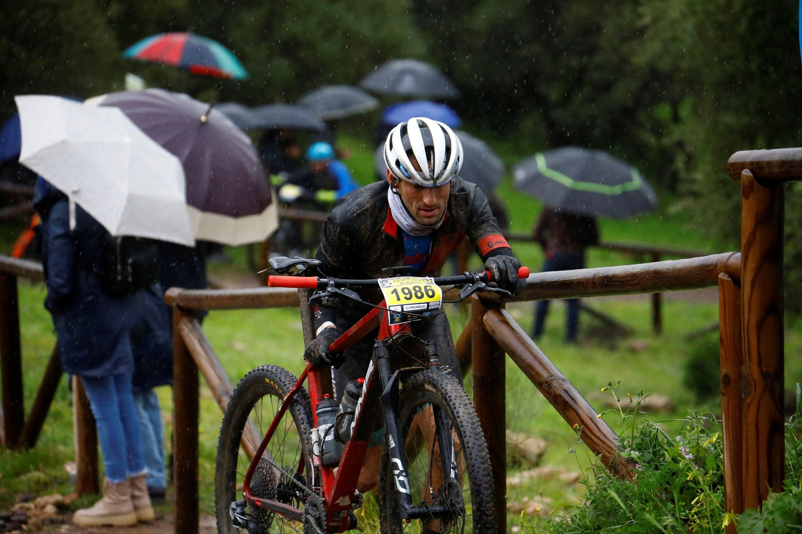 Las mejores fotos de la MTB Guzmán El Bueno 2024