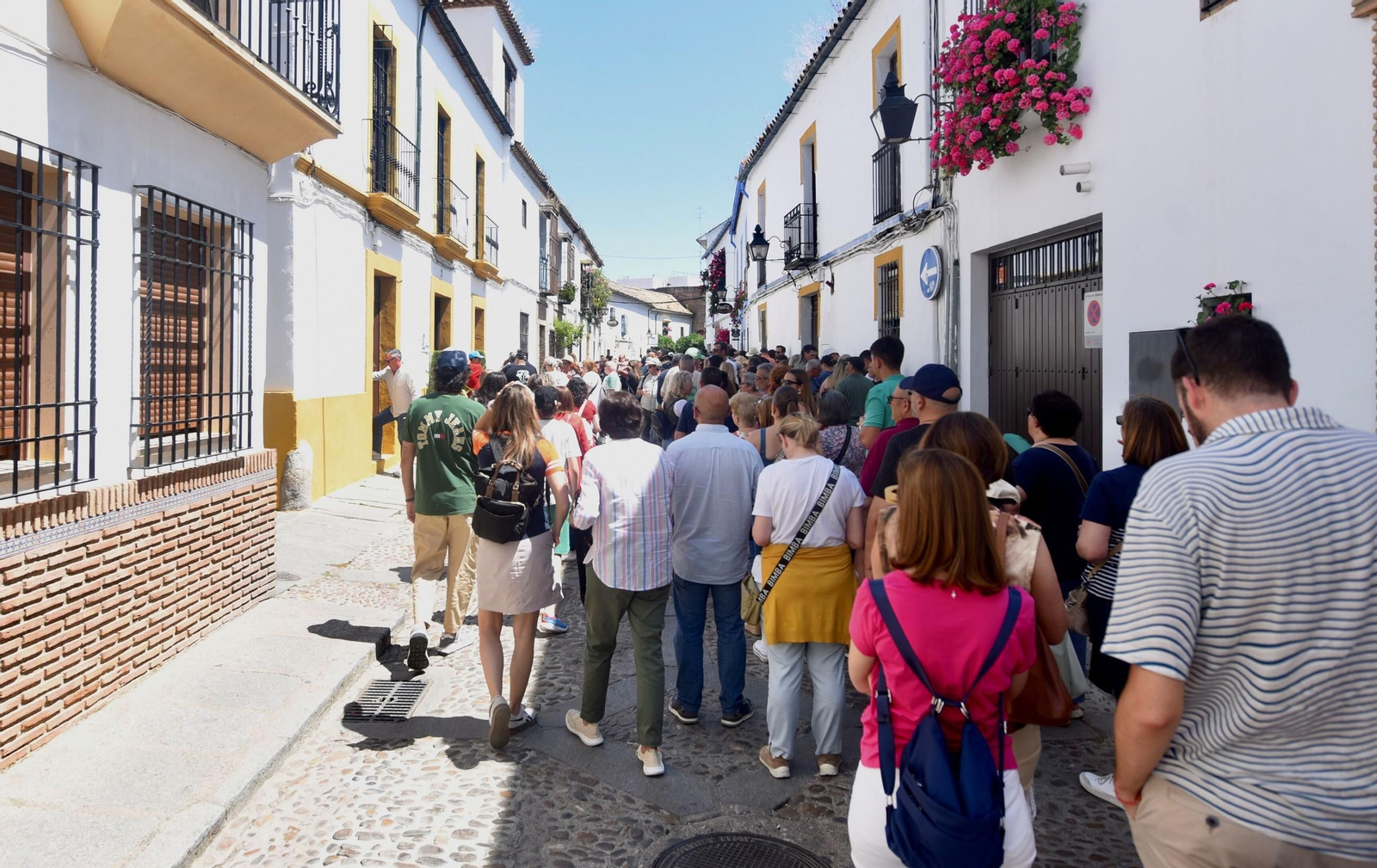 El último sábado de Patios de Córdoba en Alcázar Viejo, en imágenes