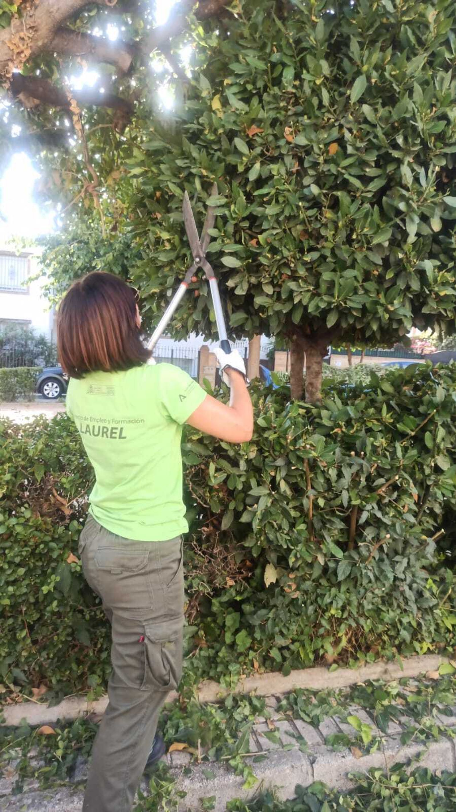 La Zubia contrata a 12 vecinos desempleados mayores de 45 años para labores de jardinería