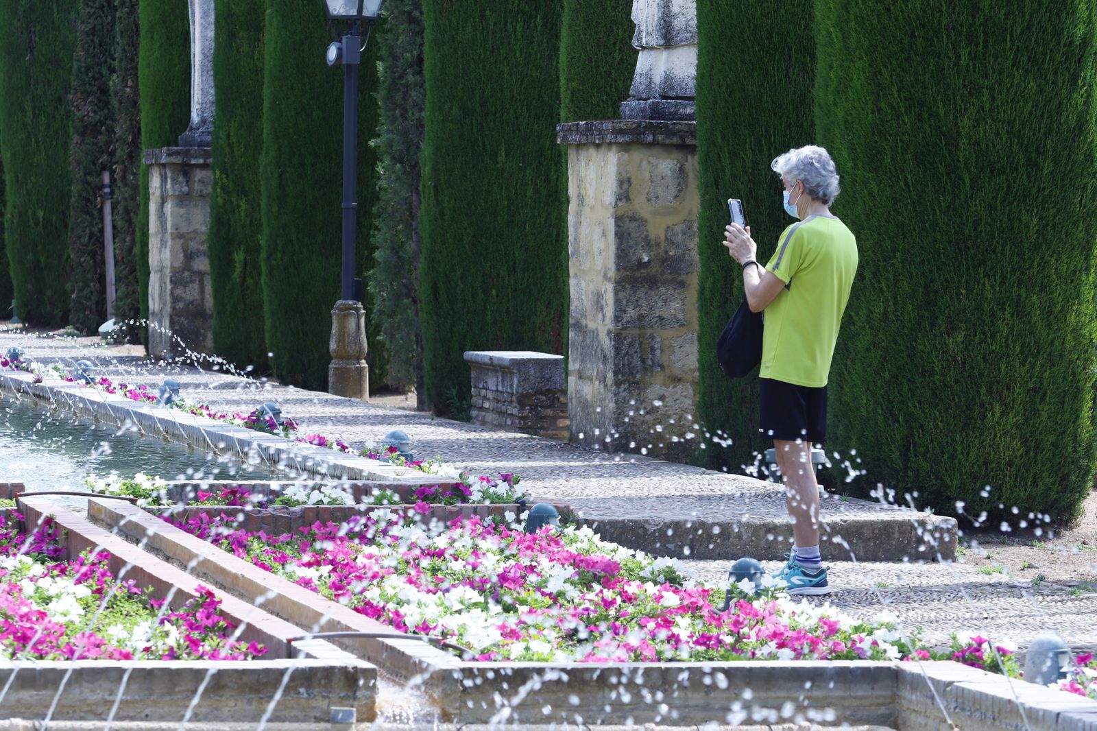 Las fotografías de la reapertura al público del Alcázar