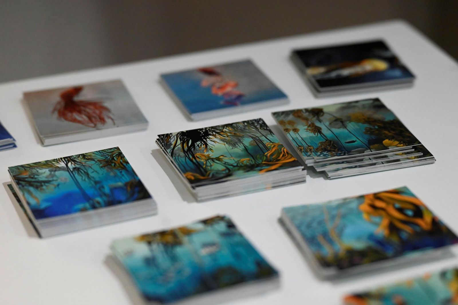 En fotos, la exposición que te llevará hasta el fondo del mar sin moverte de Córdoba