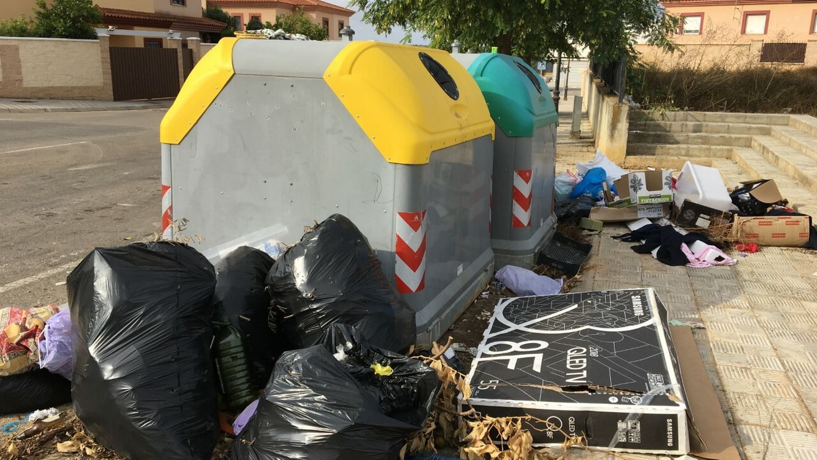 Una imagen habitual en los contenedores de basura.