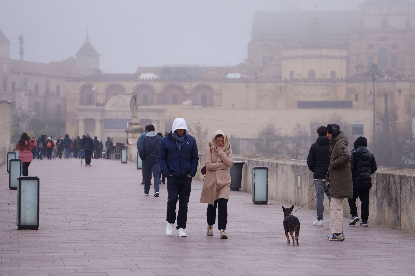 Córdoba amanece bajo la niebla el último día de 2025, en fotos