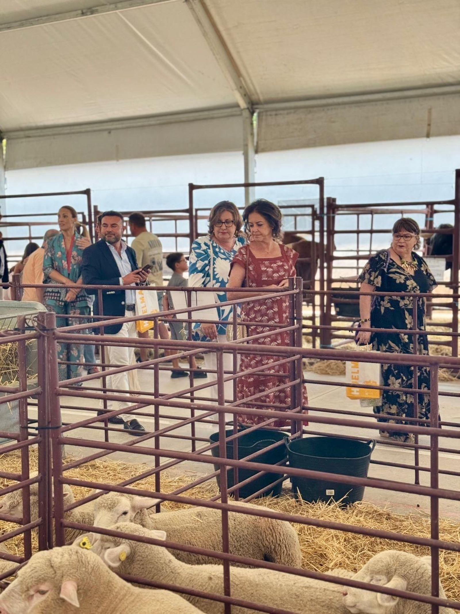 Expohuelma celebra su 40 aniversario como referente nacional de desarrollo rural y ganadero