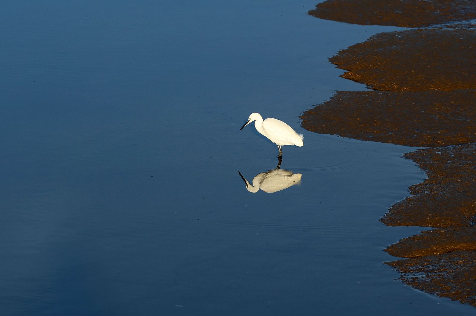 Imágenes del domingo 22 de diciembre en Huelva