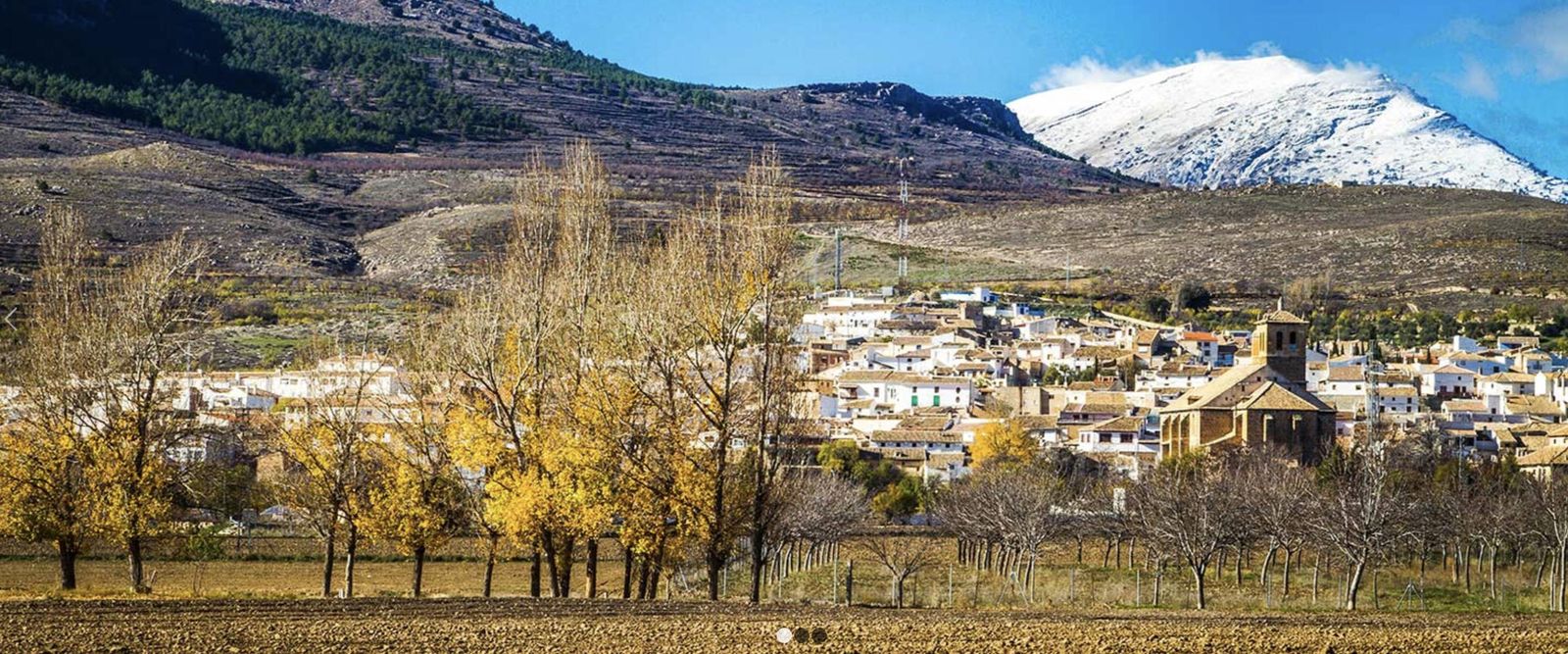 Puebla de Don Fabrique