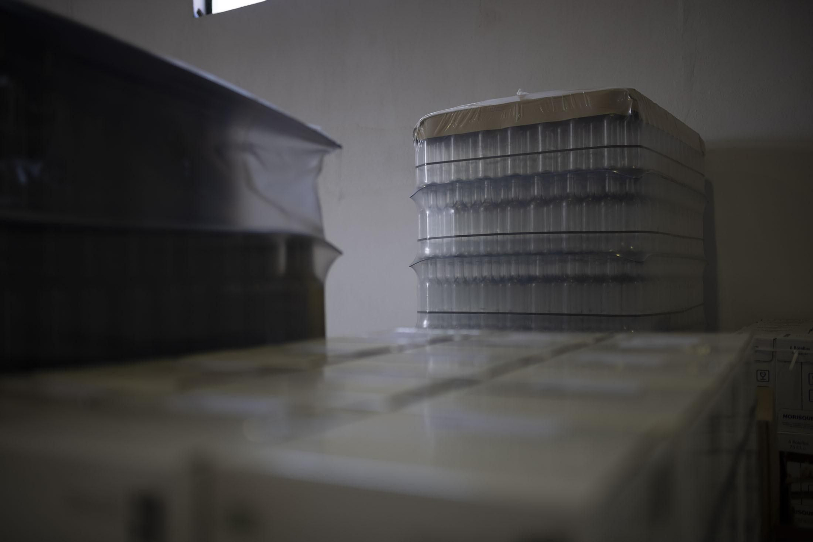 Imágenes de la vendimia en el Condado de Huelva