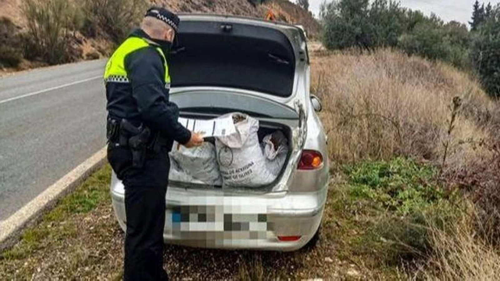 Imagen difundida por la Policía Local de Íllora. Imagen difundida por la Policía Local de Íllora.