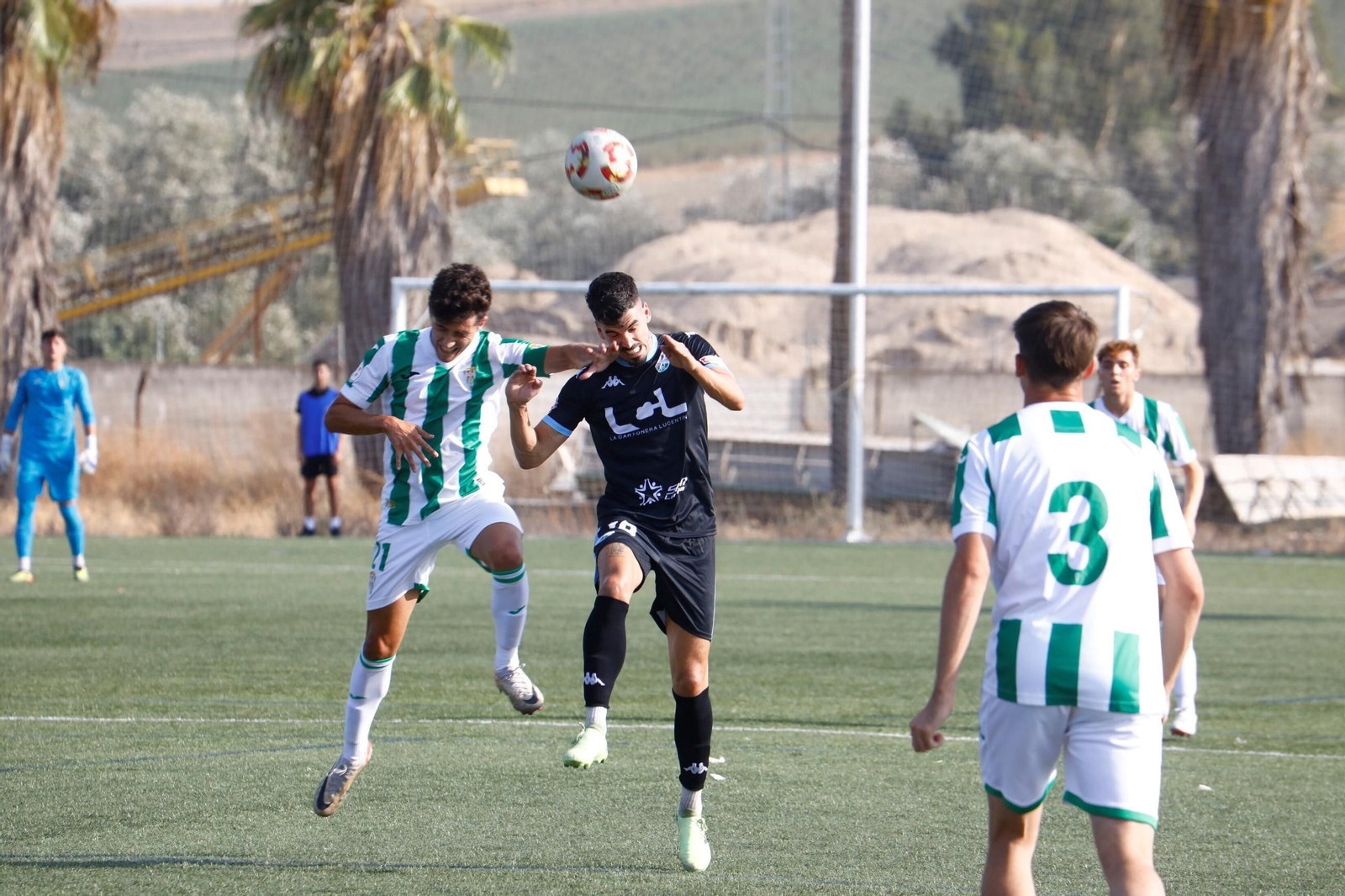 Las mejores fotos del derbi entre el Córdoba B y el Ciudad de Lucena en la Ciudad Deportiva