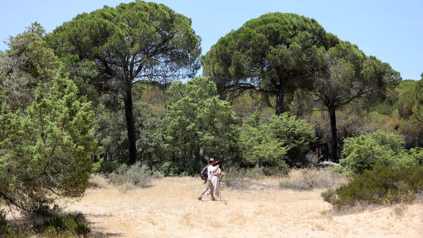 Jueves de camino de la Hdad de Jerez por el Coto Doñana