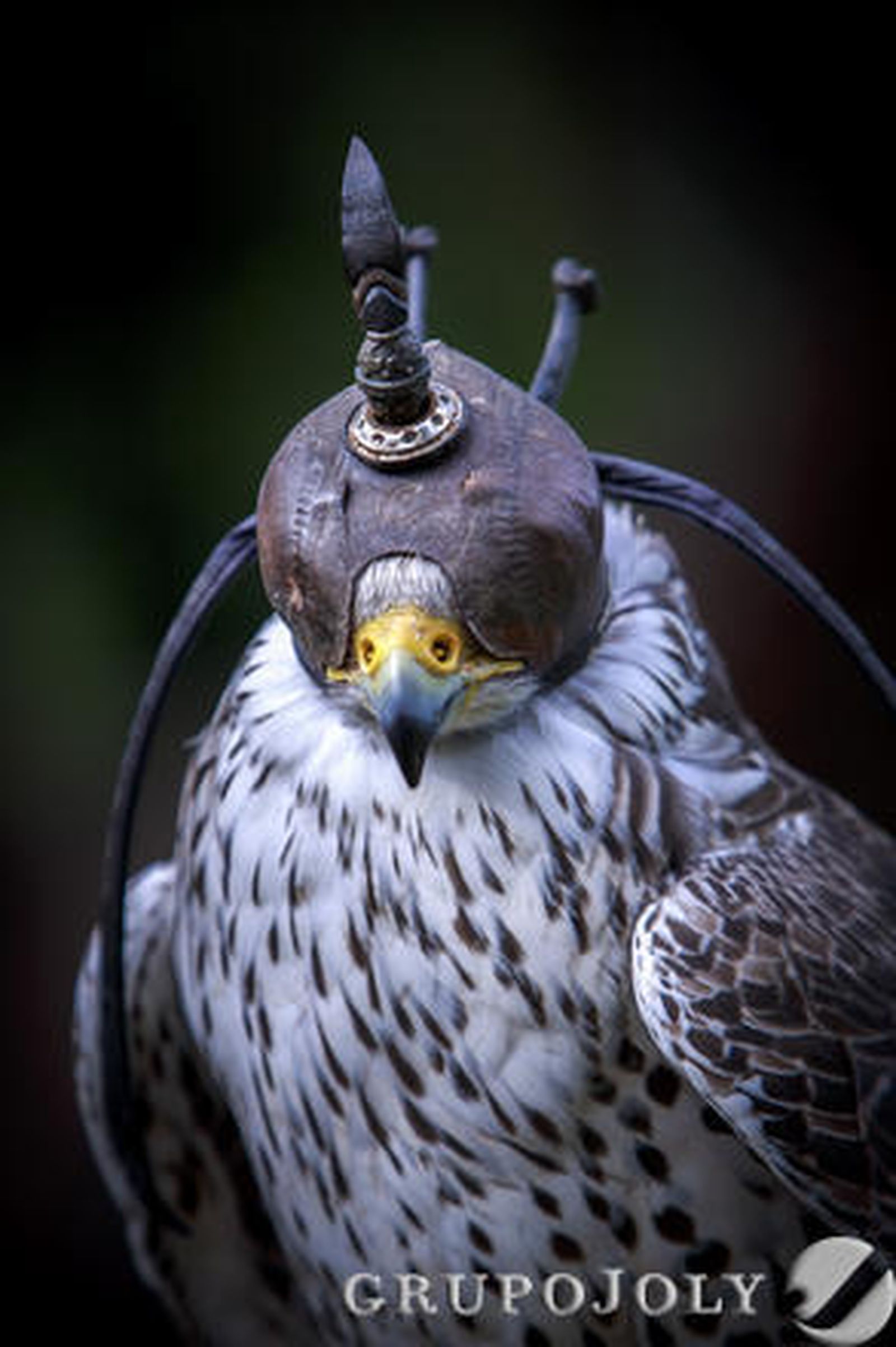 Foto: Julio Gonzalez