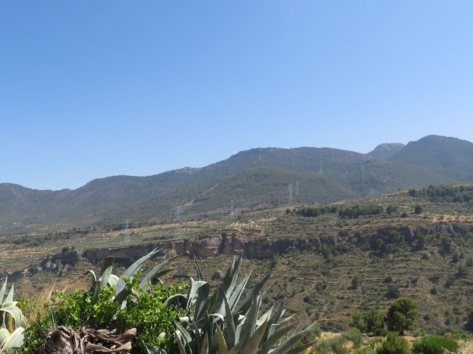 Valle de Lecrín: una batalla por Photoshop