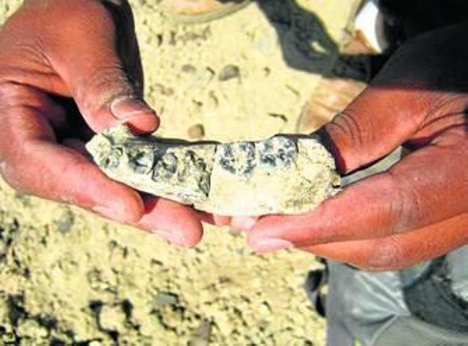 Imagen de la mandíbula encontrada en Etiopía.