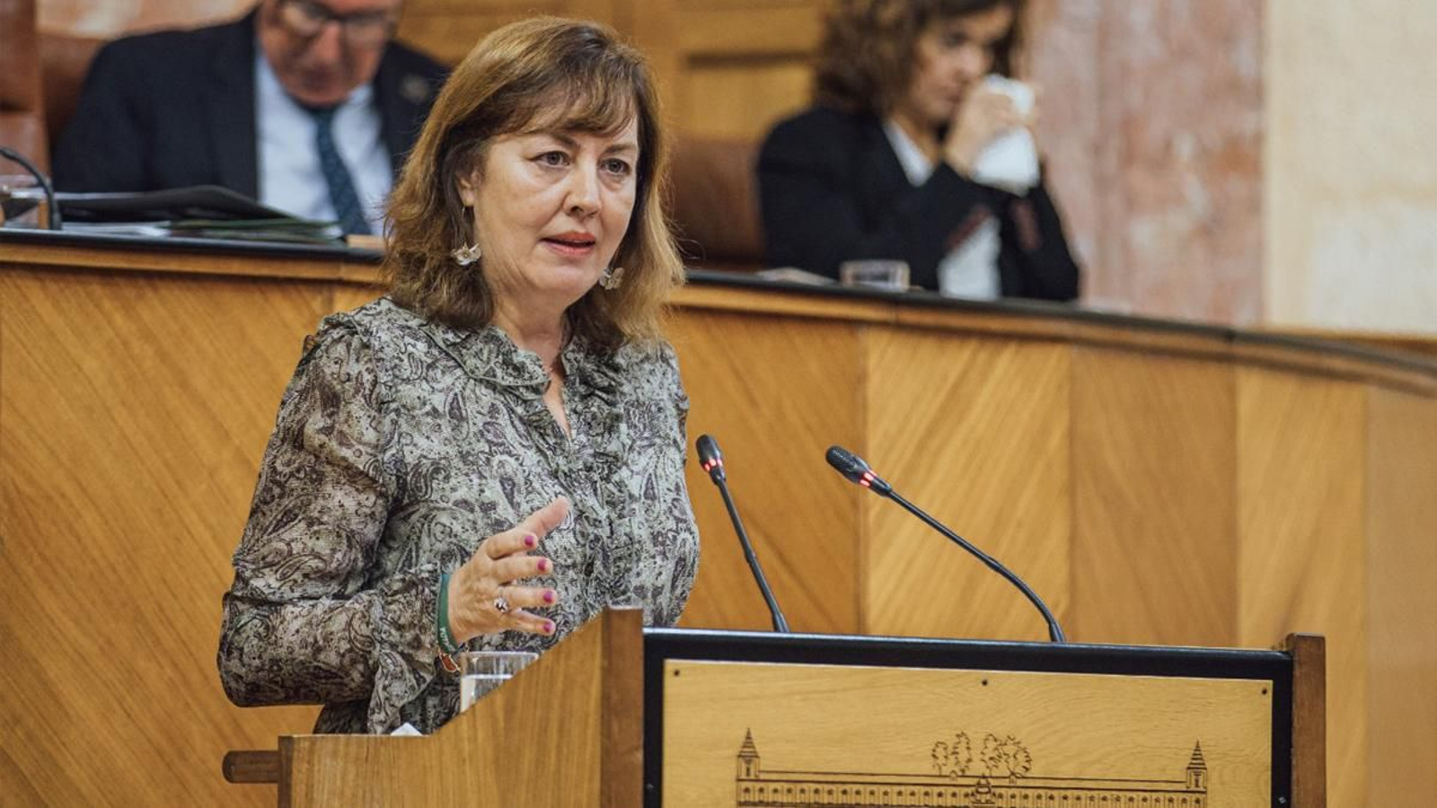 Cristina Jiménez, diputada de Vox por Granada