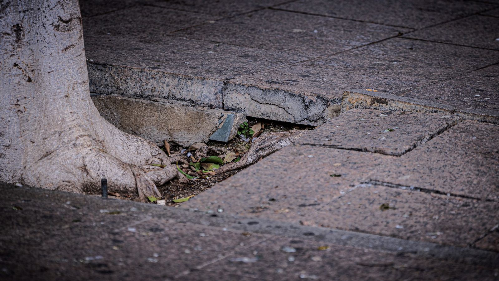 El deterioro de la plaza de la Iglesia en San Fernando, en imágenes