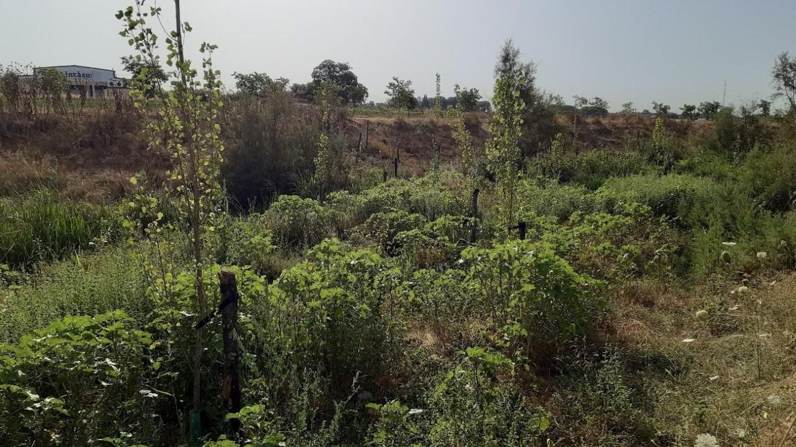 Otra vista de la zona en la que se ha actuado.