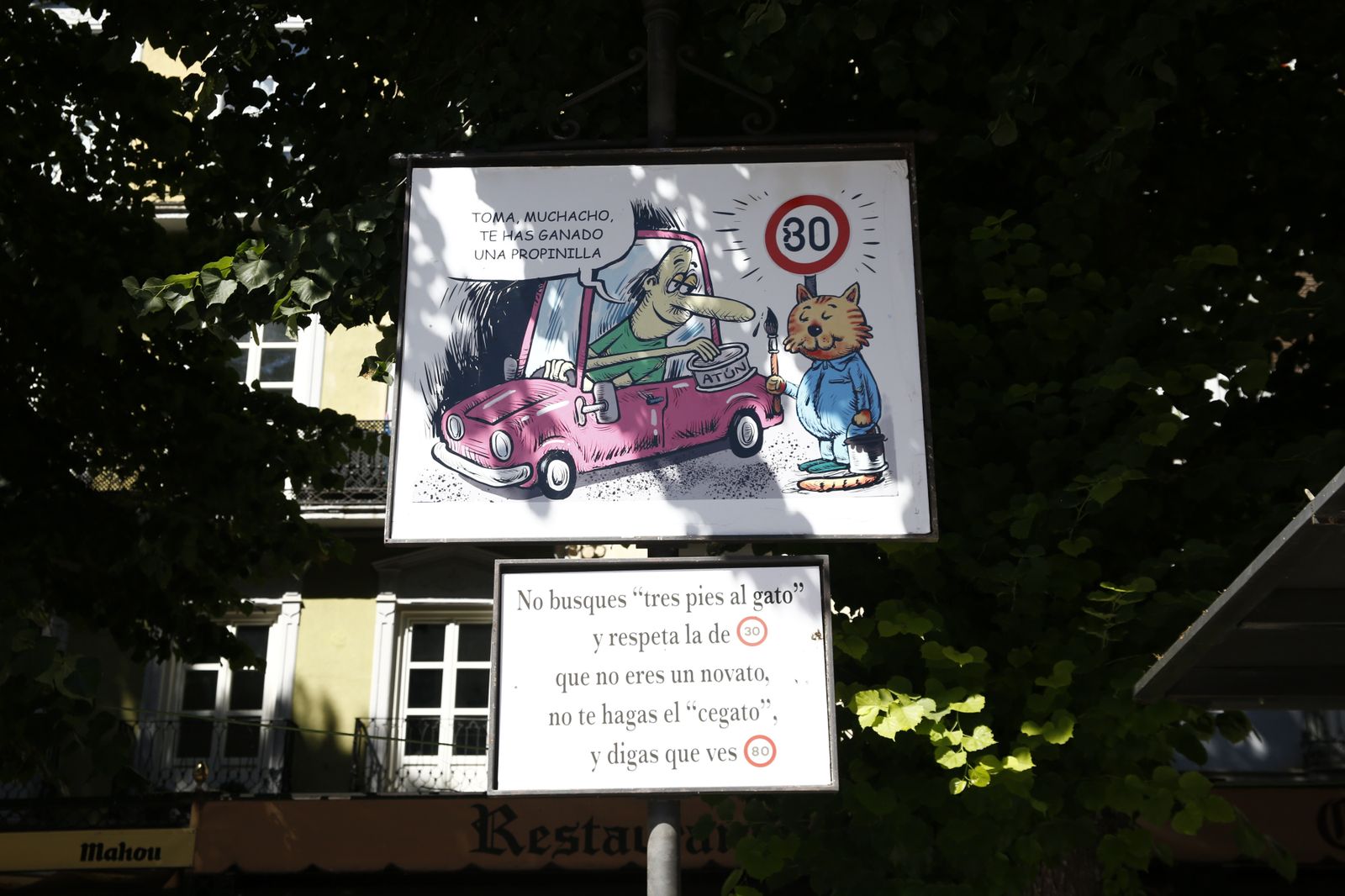 Las 20 carocas de la Feria del Corpus 2019