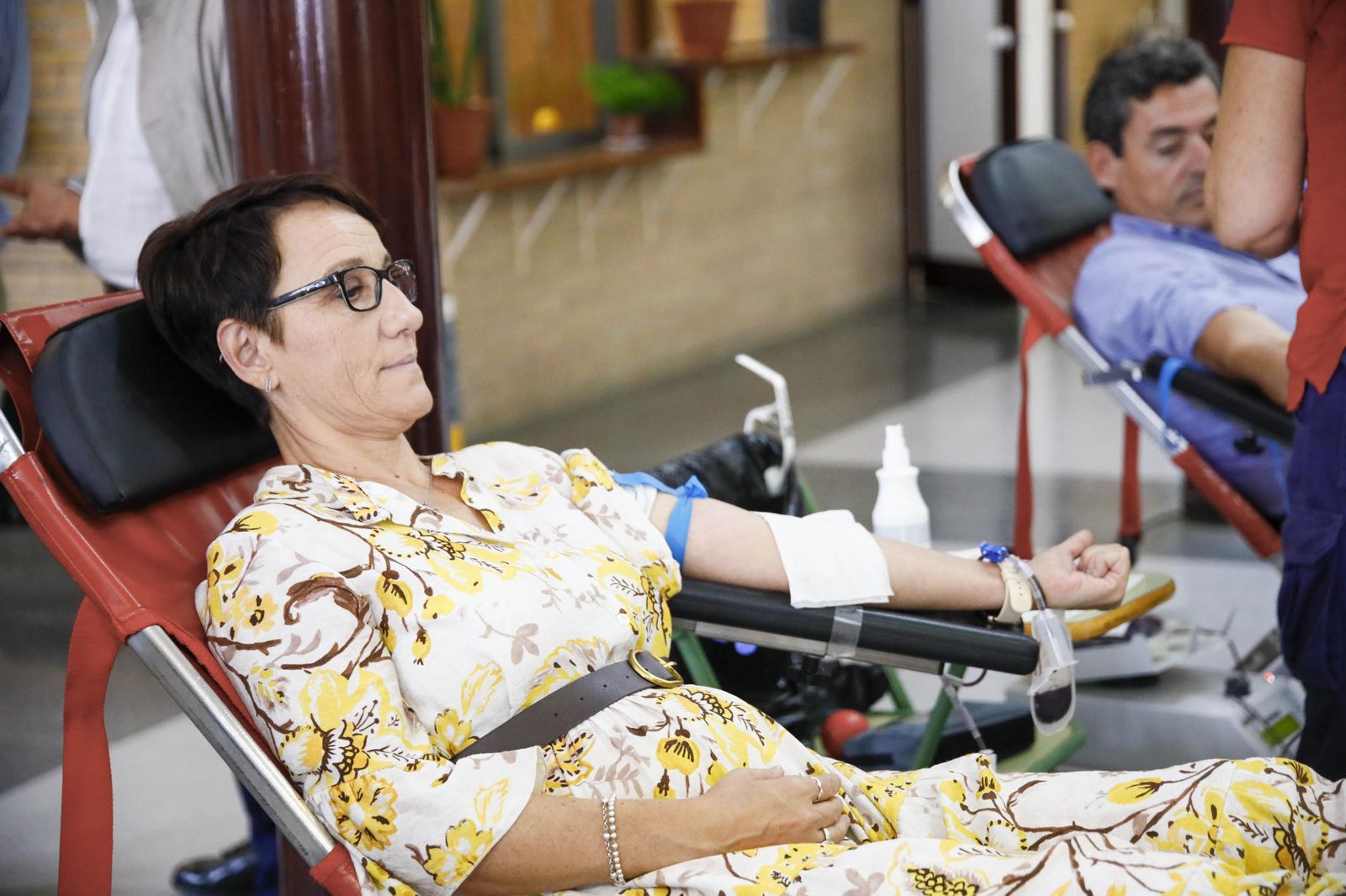 La colecta de sangre y plasma en la Universidad de Almería, en imágenes