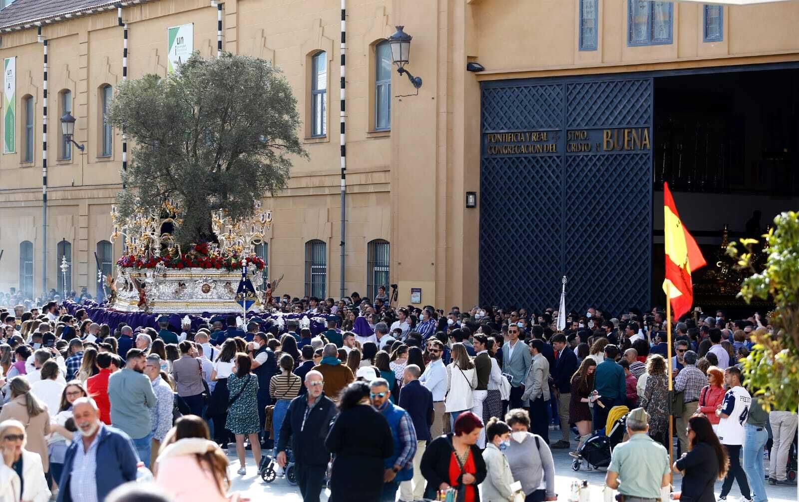 Las fotos de la procesión del Huerto en este Domingo de Ramos