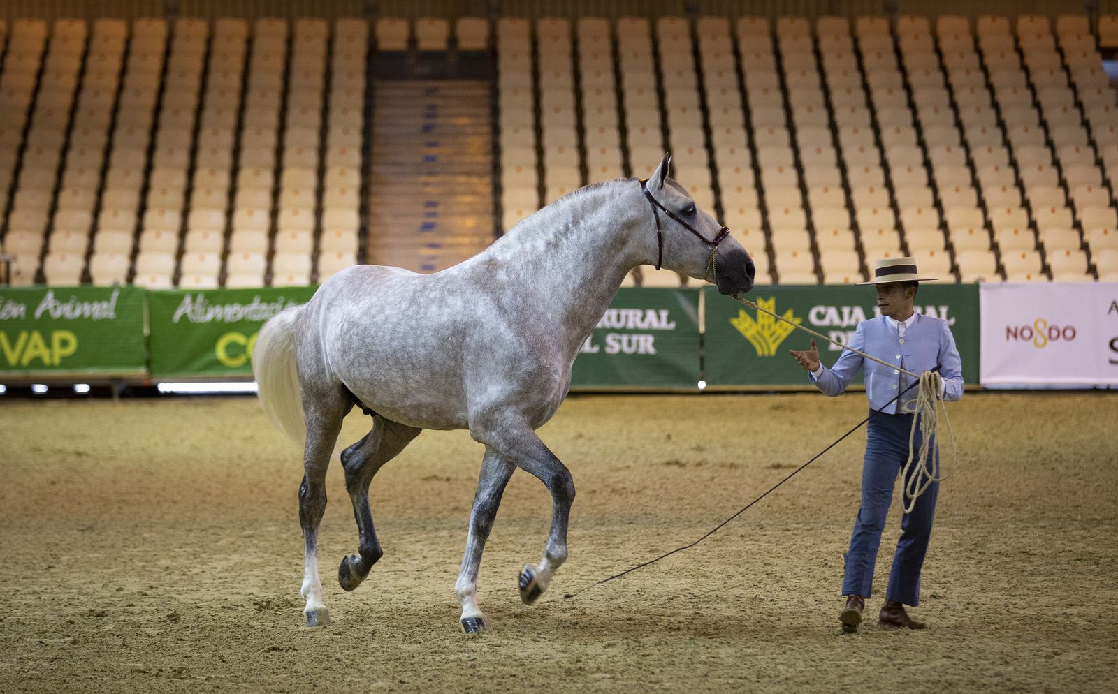 Imágenes de Sicab 2020 en la reanudación de las pruebas en Fibes