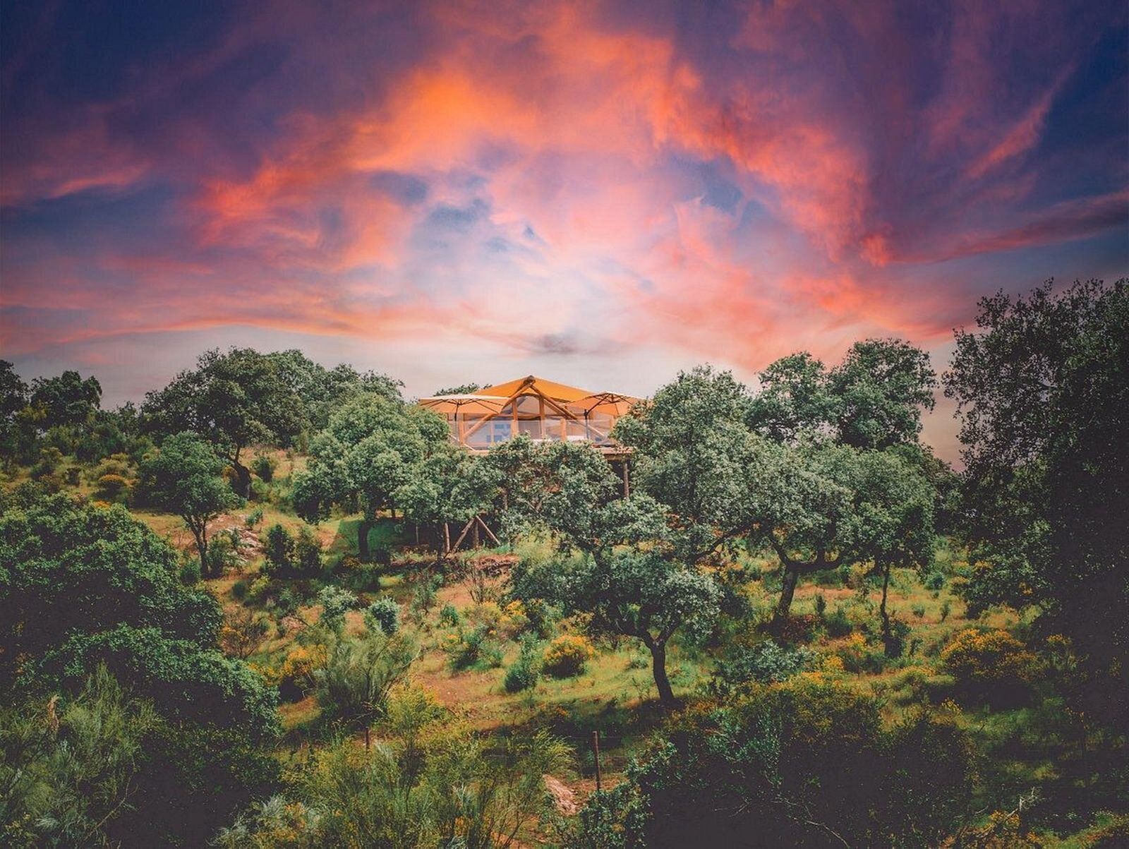 La Dehesa Experiences (Córdoba)