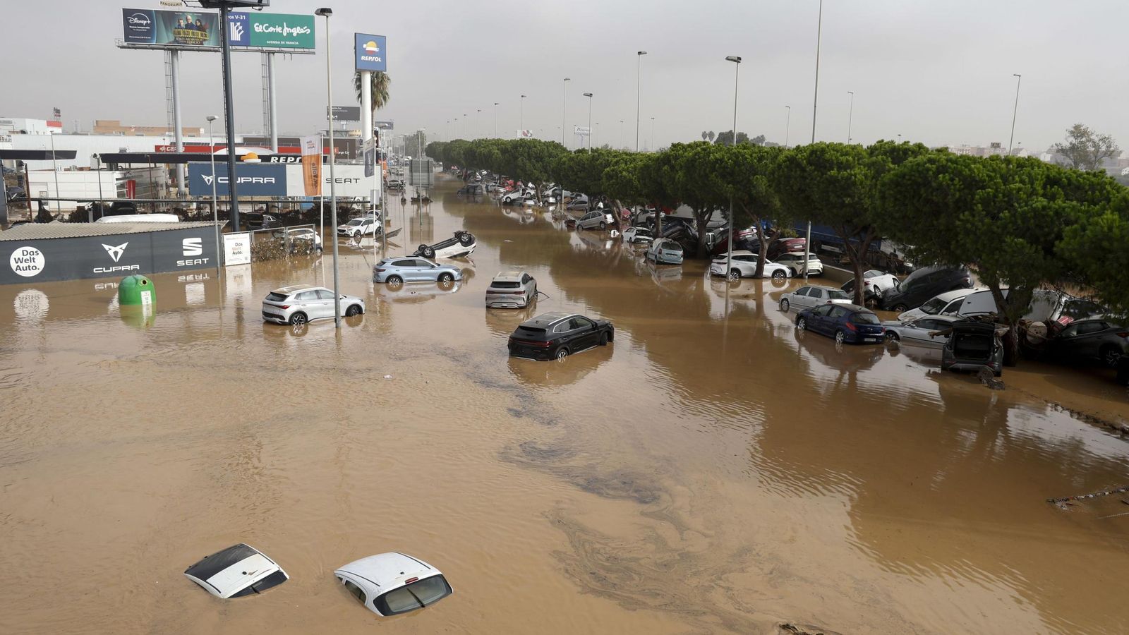 El área Metropolitana de Valencia hace balance de los daños por la DANA