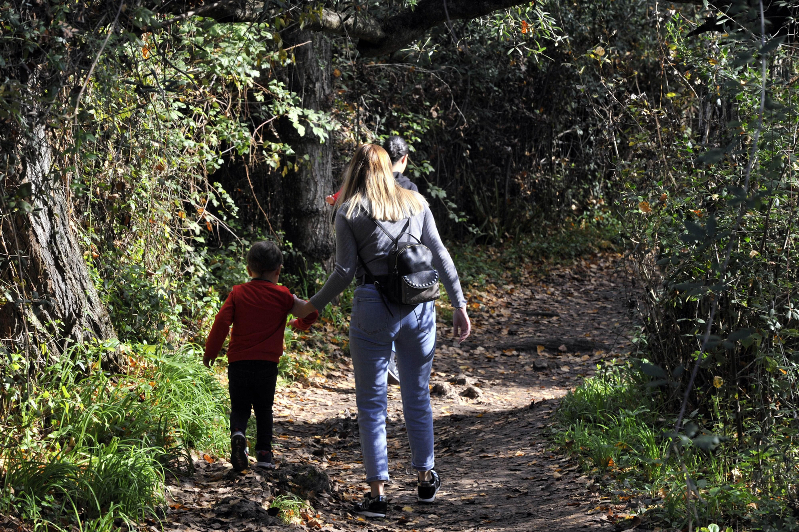 Un tramo del camino del Majaceite, entre Benamahoma y El Bosque.