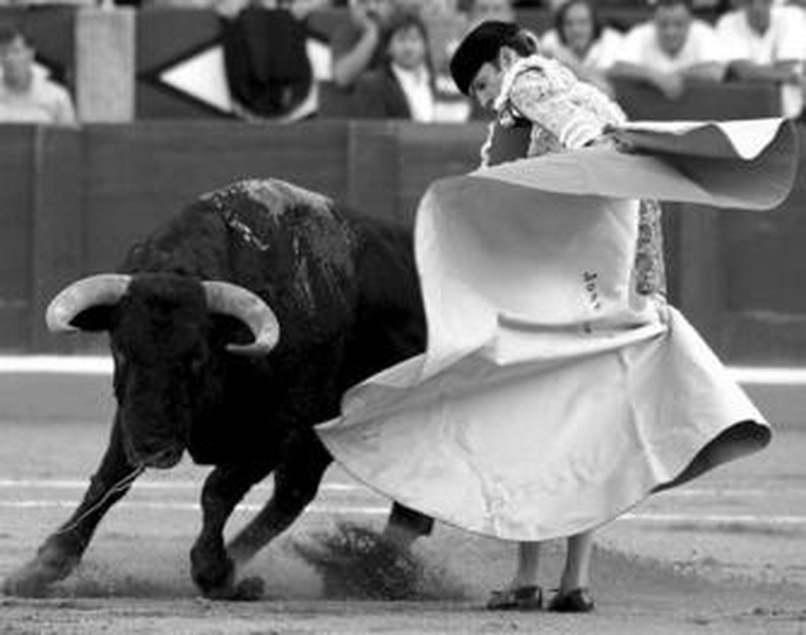 José Tomás, con el capote en la espalda, en el centro del ruedo charro, por gaoneras.