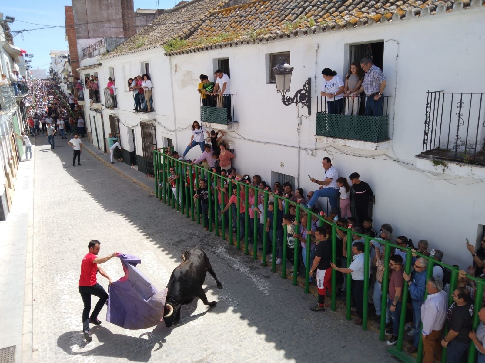 Un aficionado le da un pase a 'Alborotado', segundo Toro del Aleluya.
