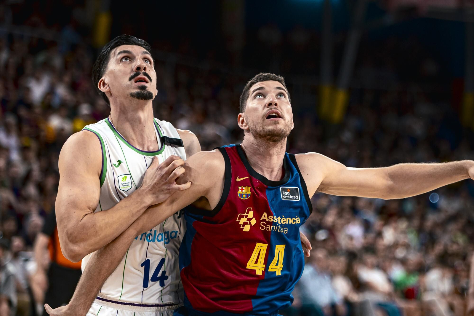 Djedovic ante Parra.