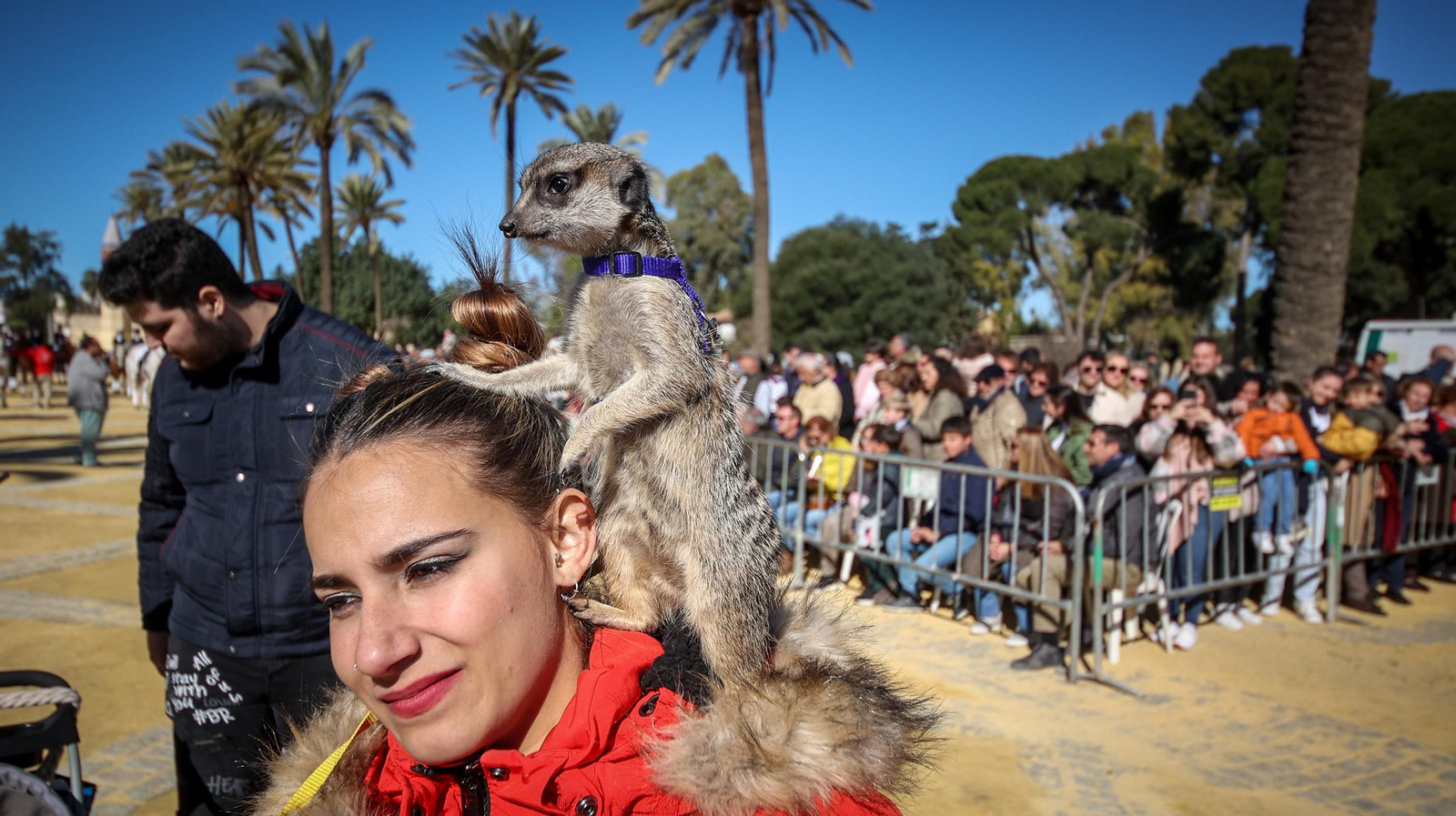 Búscate en San Antón de Jerez
