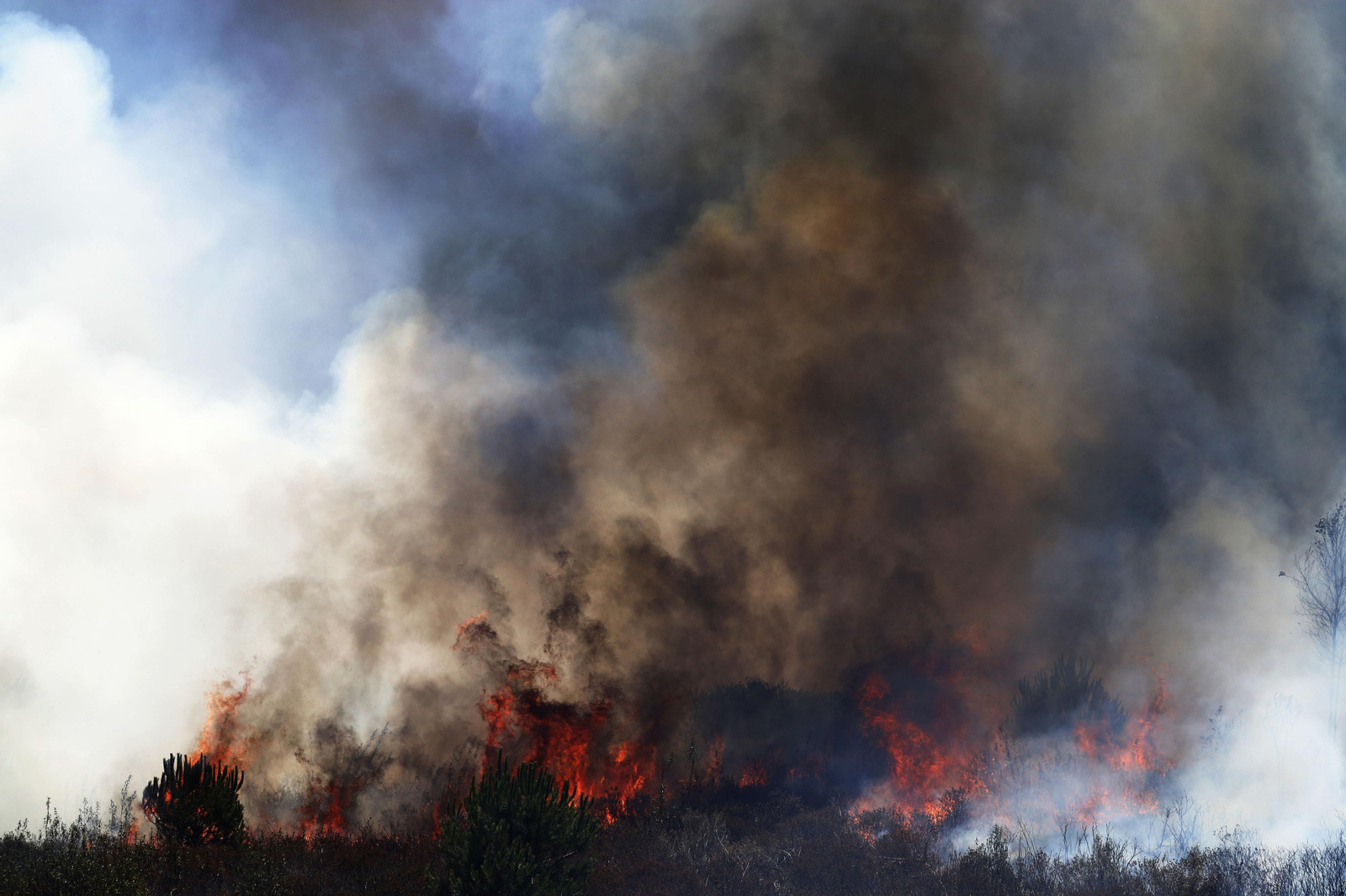 Imágenes del espectacular incendio entre en el paraje de la raya de Aljaraque y Marismas del Odiel