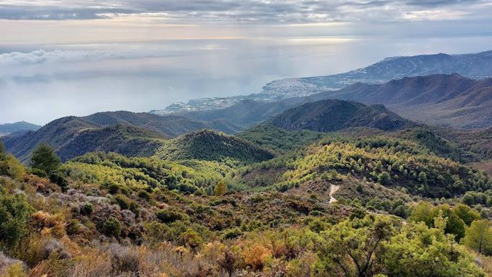 Vistas desde el mirador. Vistas desde el mirador.