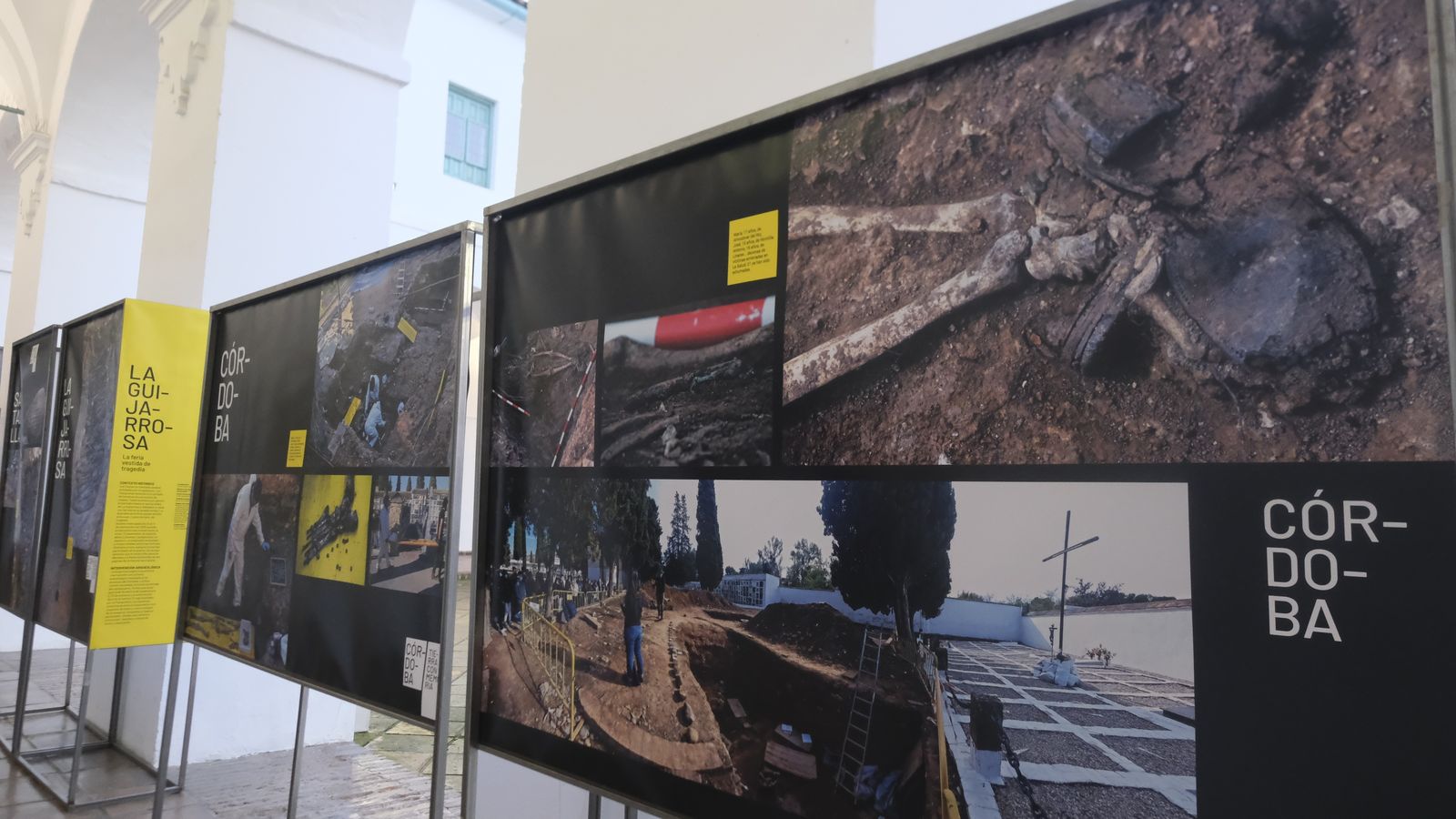 Parte de las imágenes de la exposición.